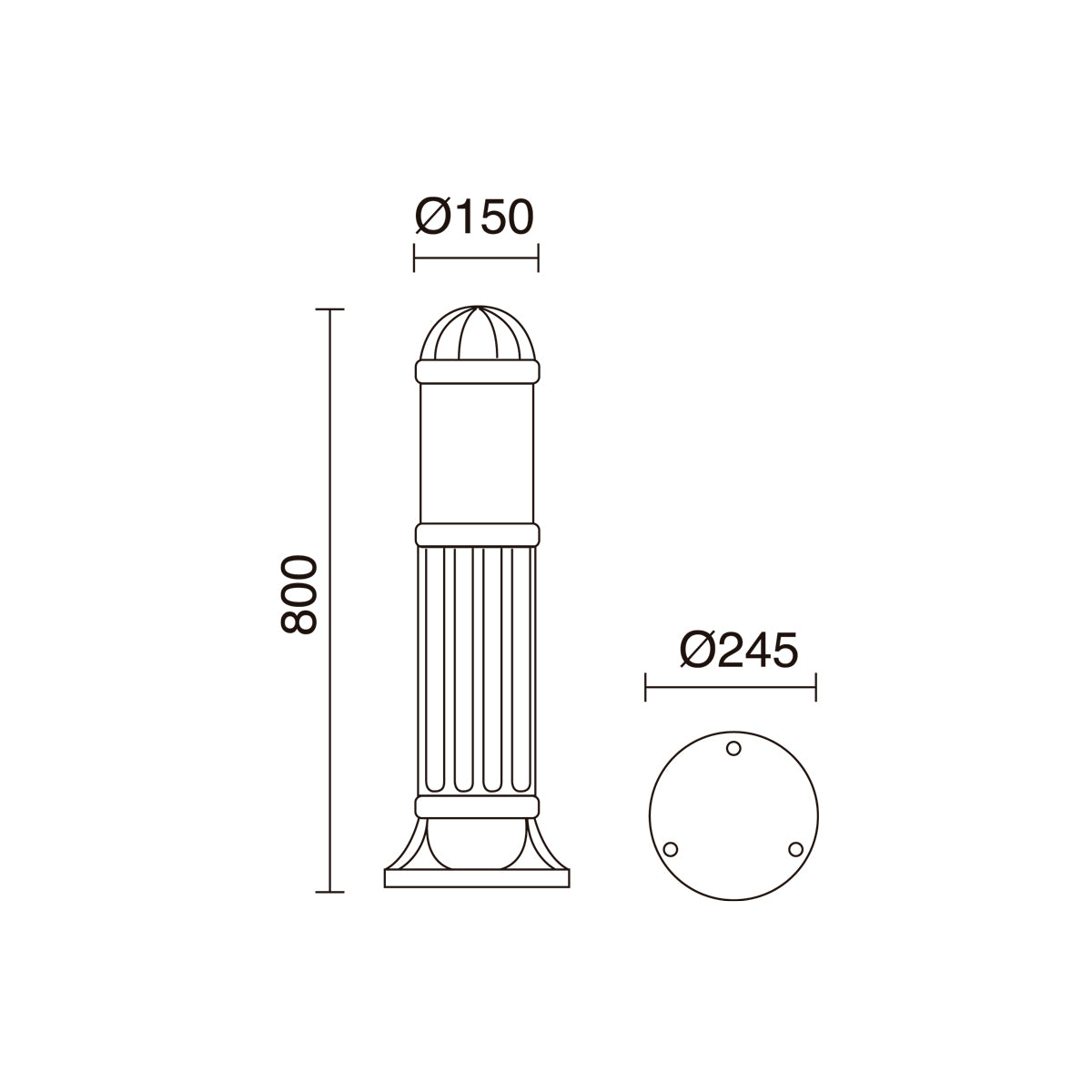 E_Sauro_272B-G31X1A-02.jpg