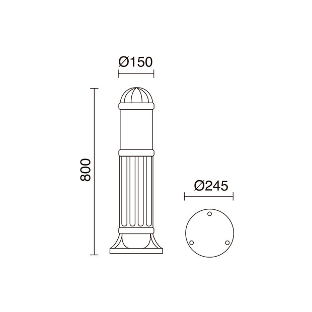 E_Sauro_272B-G31X1A-02.jpg