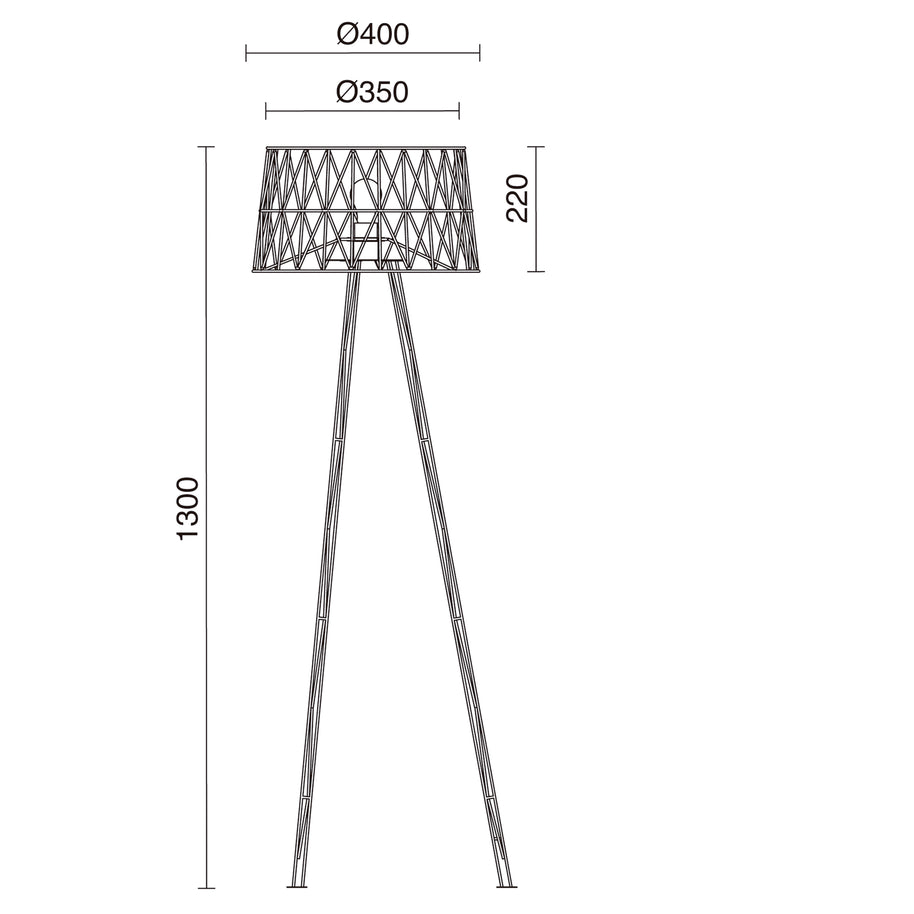 E_Tess_837B-G05X1A.jpg