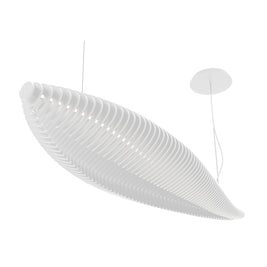 F_Fish_1013B-L4026A-01.jpg